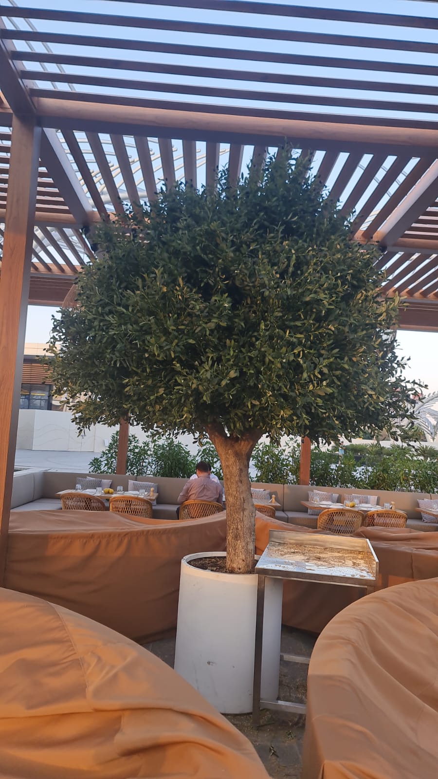 Artificial patio olive tree